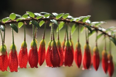 珠海香洲区7私人快速借钱网，轻松解决资金难题