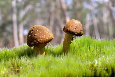 珠海香洲区7私人老板放款：轻松融资的秘密通道